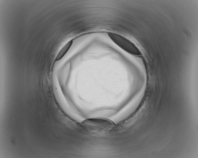 X0000113041097200910081206