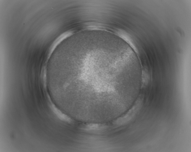 X0000113041098200910081206