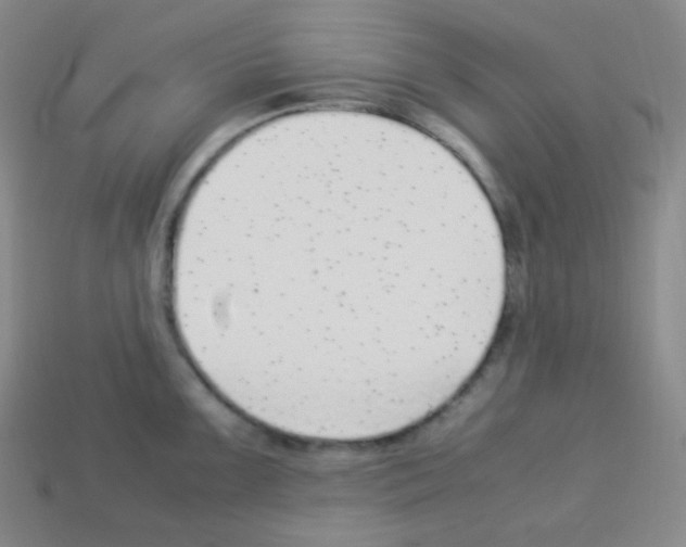 X0000113041099200910081206