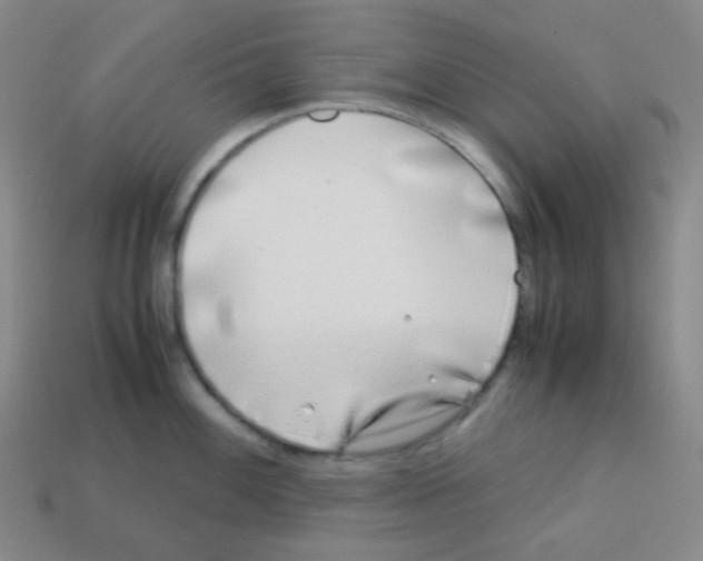X0000113041100200910081206