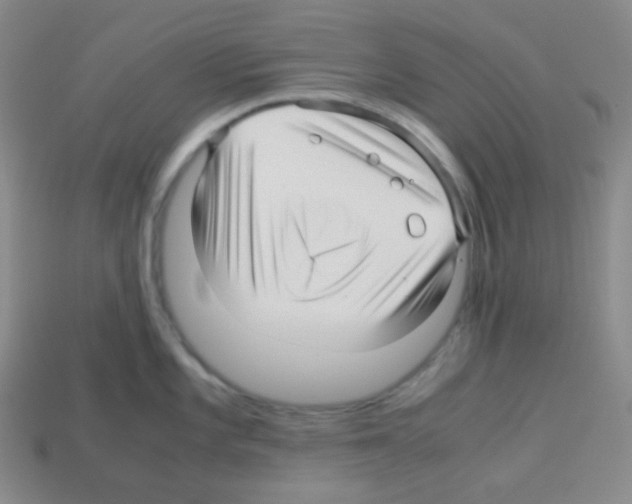 X0000113041101200910081206