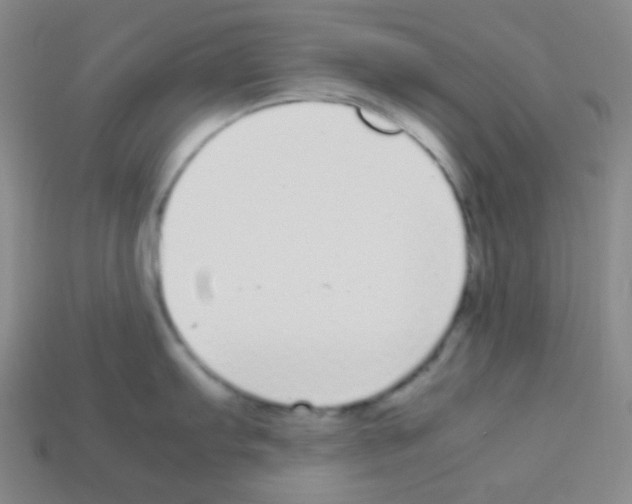 X0000113041103200910081206