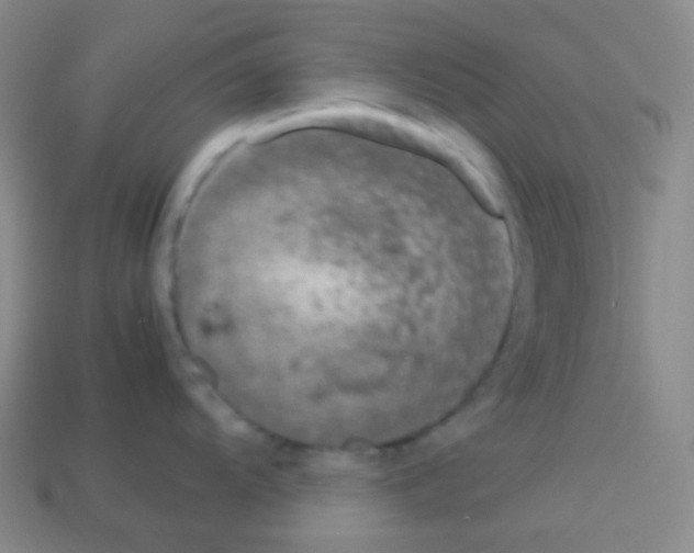 X0000113041104200910081206