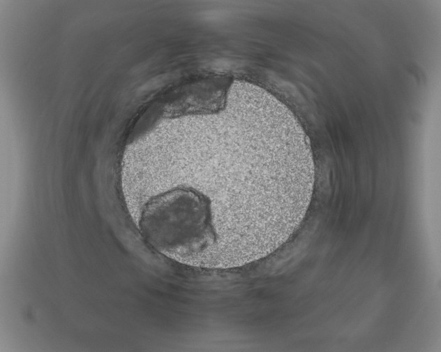 X0000113041105200910081205