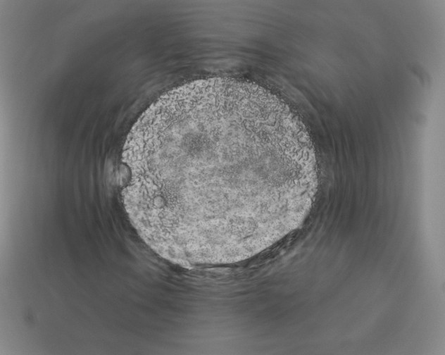 X0000113041106200910081205