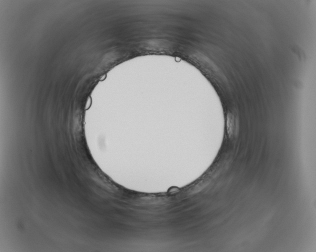 X0000113041107200910081205
