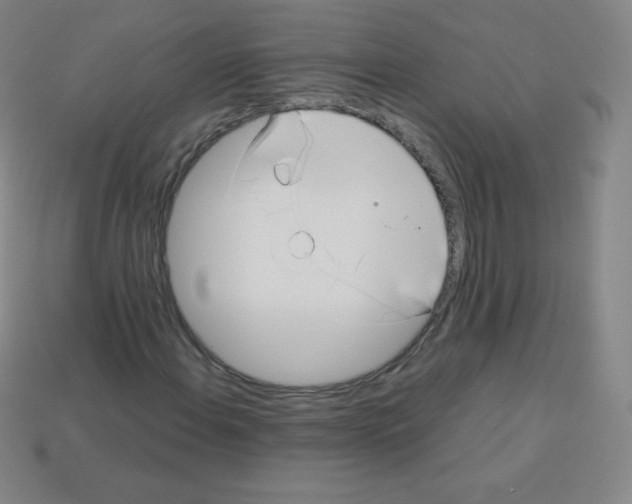 X0000113041108200910081205