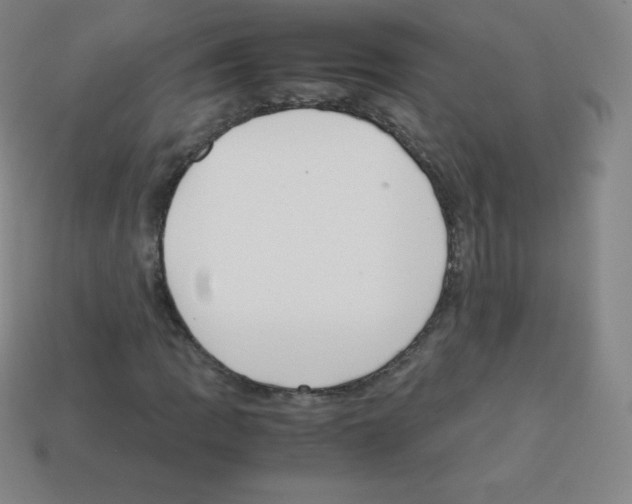 X0000113041109200910081205
