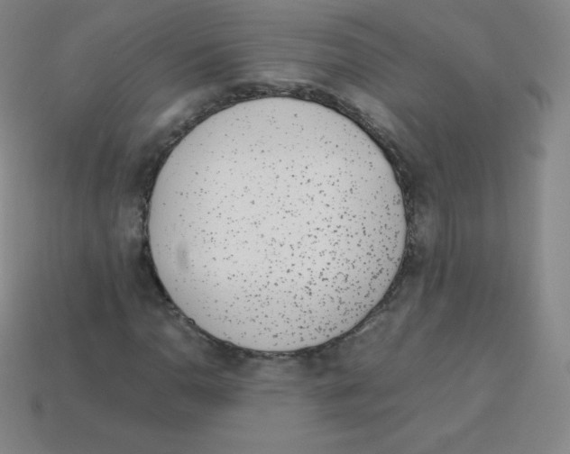X0000113041110200910081205