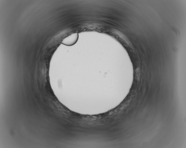 X0000113041111200910081205
