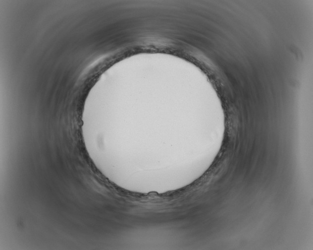 X0000113041112200910081205