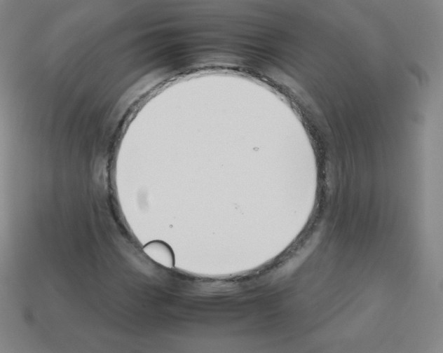 X0000113041113200910081205