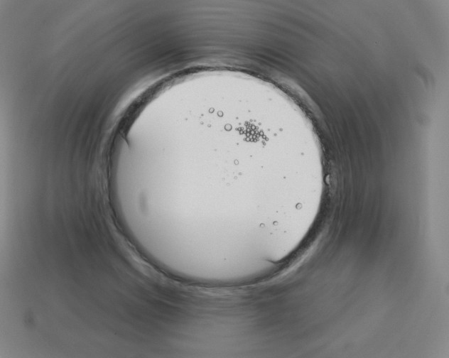 X0000113041114200910081205