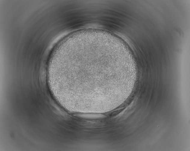 X0000113041115200910081205