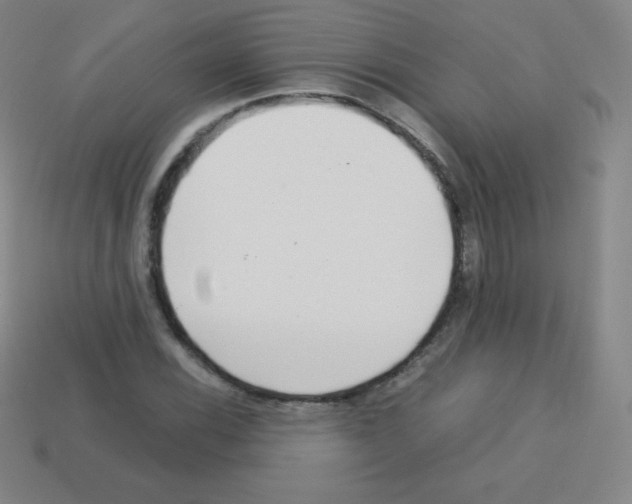 X0000113041116200910081205