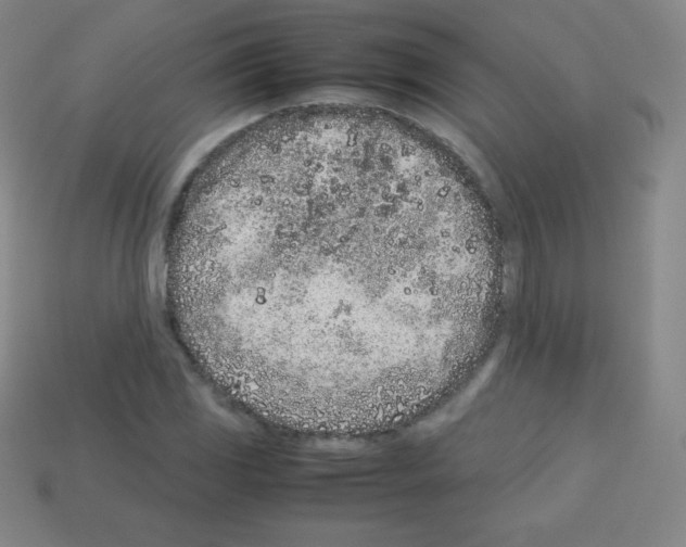 X0000113041117200910081205