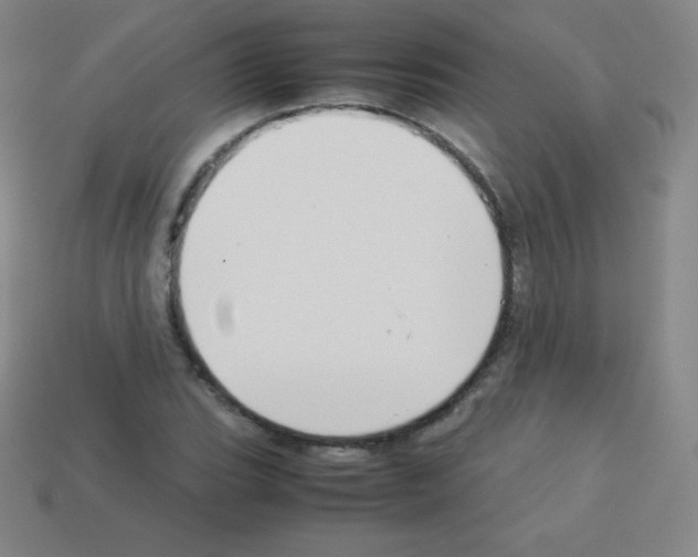 X0000113041119200910081205