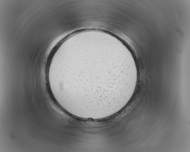 X0000113041120200910081205