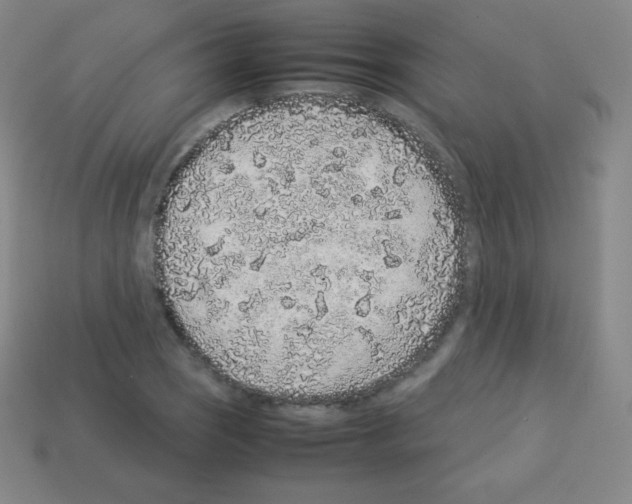 X0000113041121200910081205