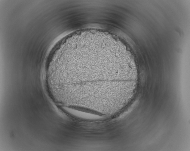 X0000113041125200910081205
