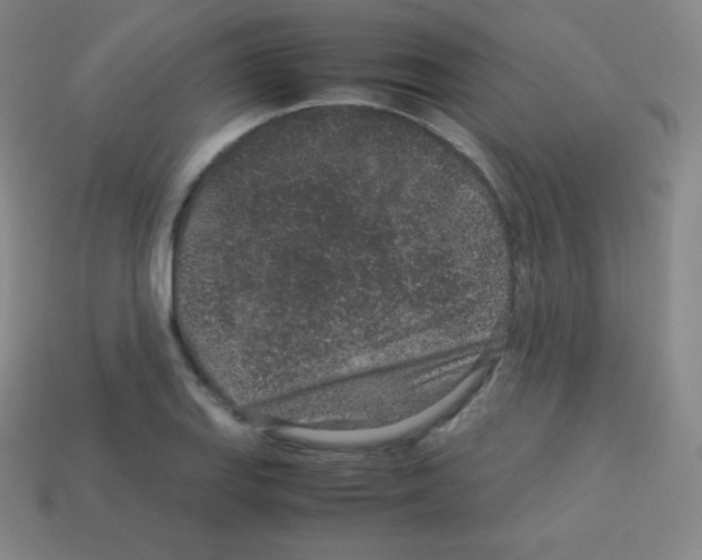 X0000113041127200910081205
