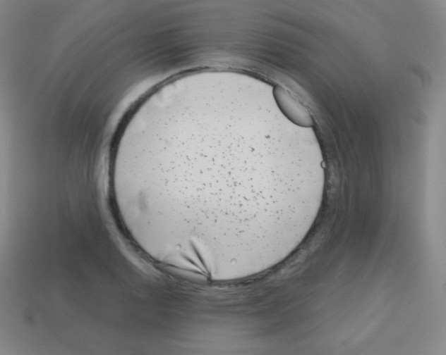 X0000113041128200910081205