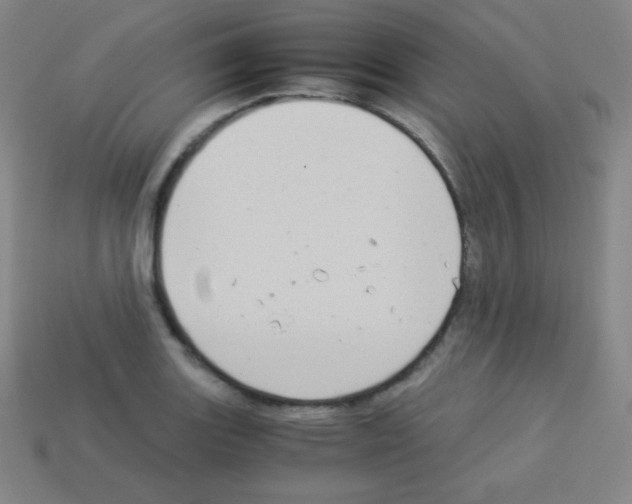 X0000113041131200910081205