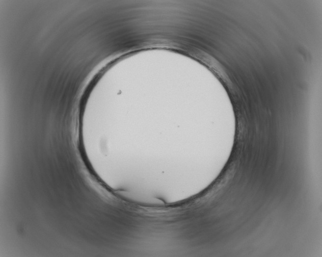 X0000113041132200910081205