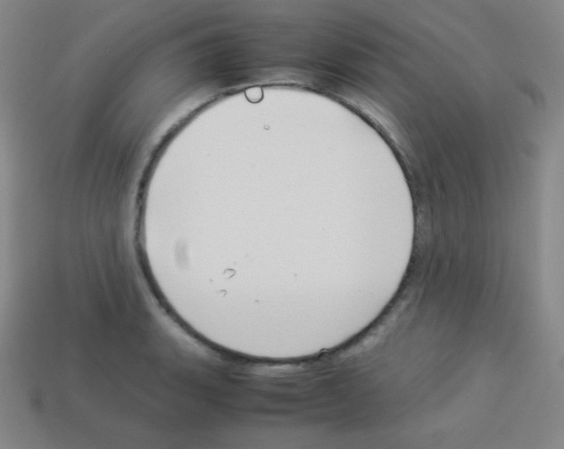 X0000113041135200910081205