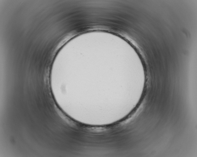 X0000113041137200910081205