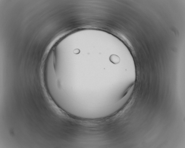 X0000113041138200910081205