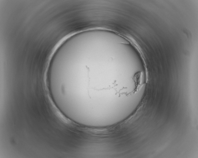 X0000113041140200910081206
