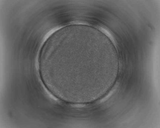 X0000113041141200910081206