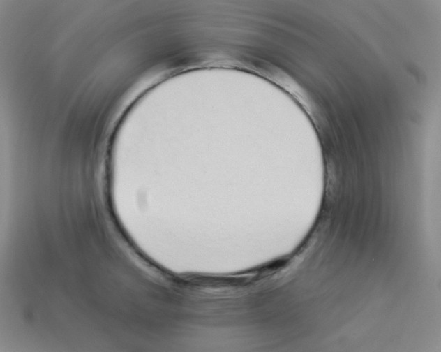 X0000113041142200910081206