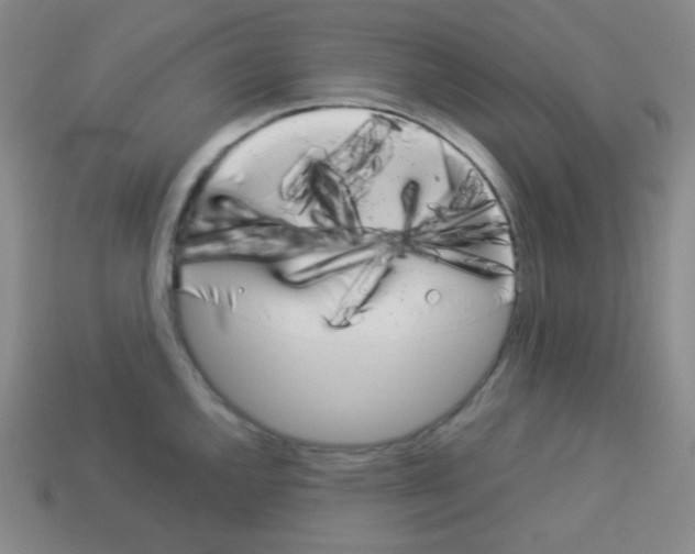 X0000113041144200910081206