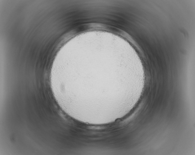 X0000113041145200910081206