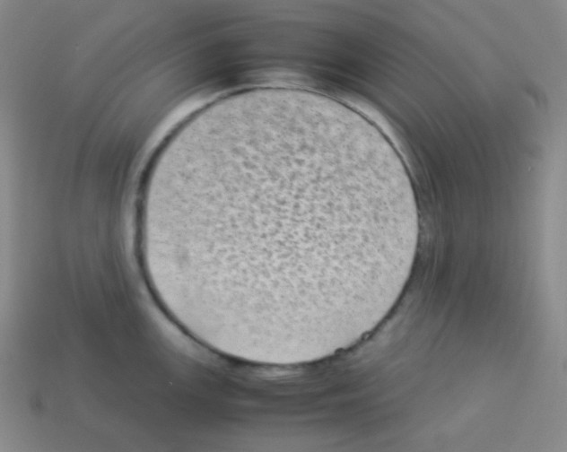 X0000113041147200910081206