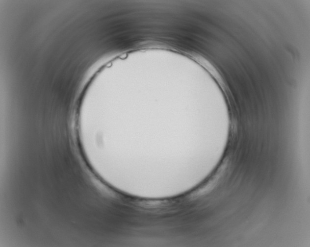 X0000113041149200910081206