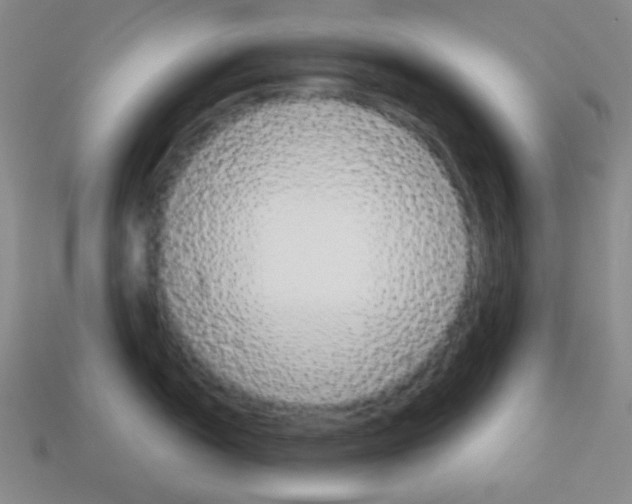 X0000113041150200910081206
