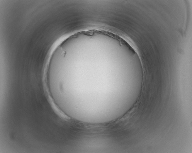 X0000113041152200910081206