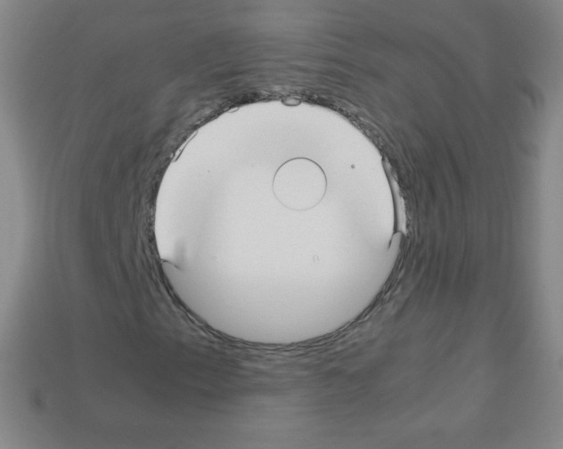 X0000113041153200910081205