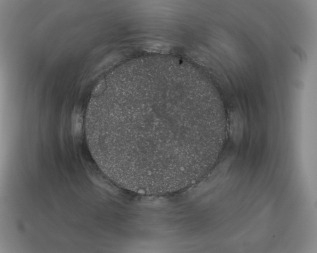 X0000113041154200910081205