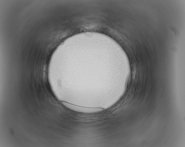 X0000113041156200910081205