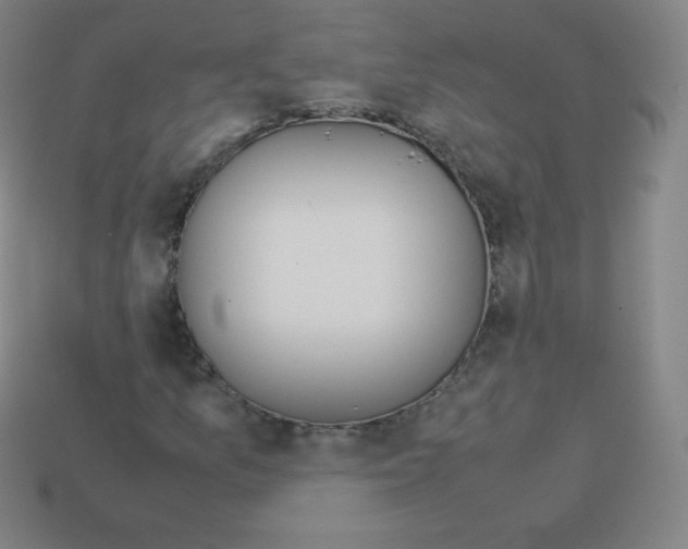 X0000113041157200910081205