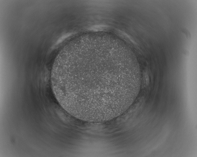 X0000113041158200910081205