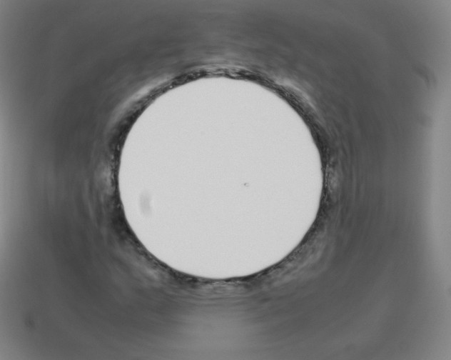 X0000113041159200910081205