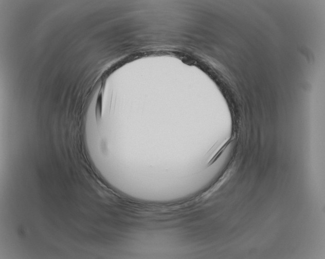X0000113041161200910081205