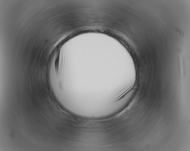 X0000113041162200910081205