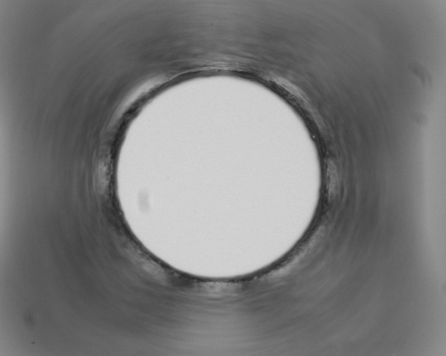 X0000113041163200910081205