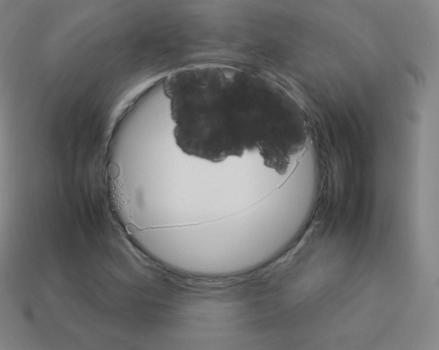X0000113041164200910081205